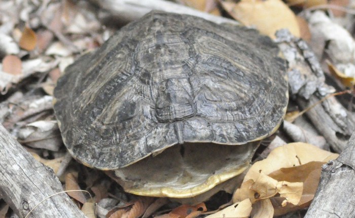 No Story Without Leaving&nbsp;Home