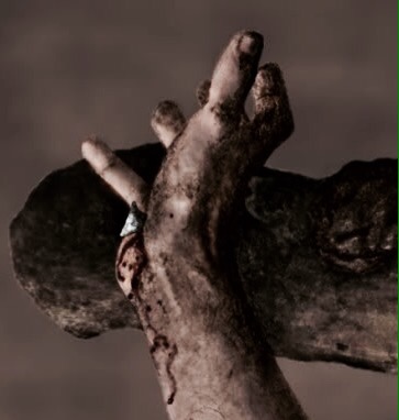 Too Much to&nbsp;Bear