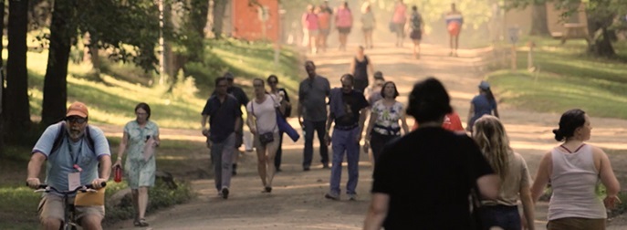 Walking the Wild&nbsp;Goose