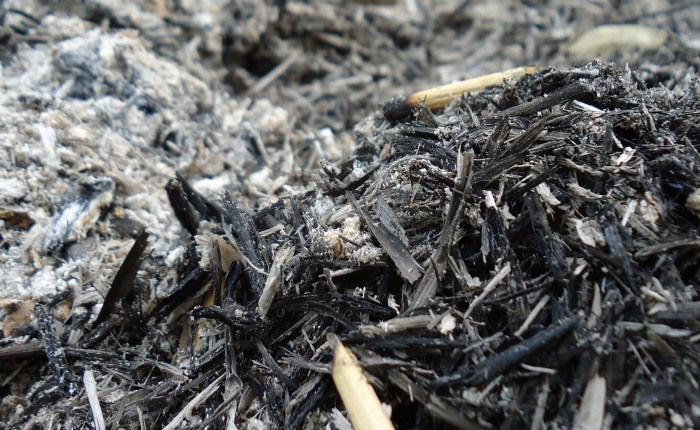 Lent and Creating&nbsp;Kindness